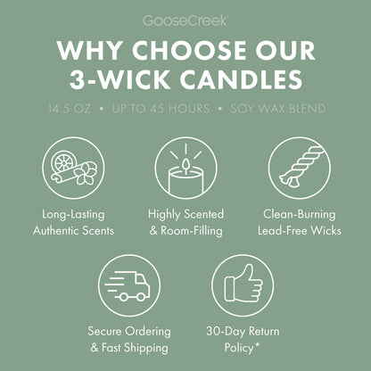 Minted Eucalyptus 3-Wick Candle