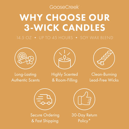 Vanilla Sands 3-Wick Candle